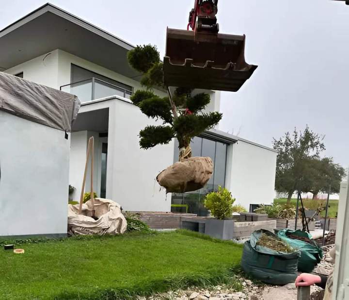Création d'espaces verts Aménagement d'extérieur Durlinsdorf