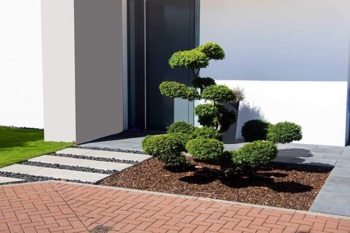 Entretien expert pour une vitalité durable de votre jardin.